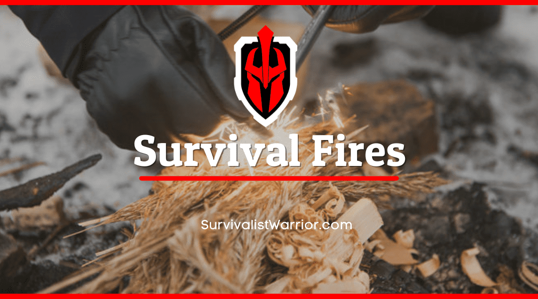 Survival Fires